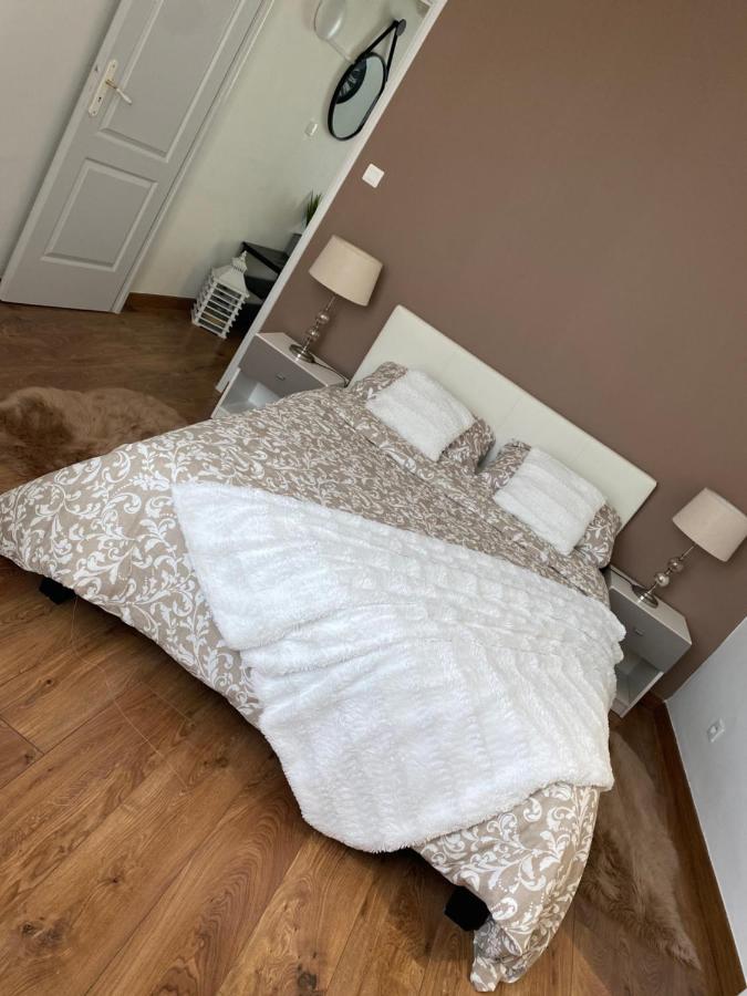Appartement Cosy Et Moderne, Proche Cite Des Papes 亞維農 外观 照片